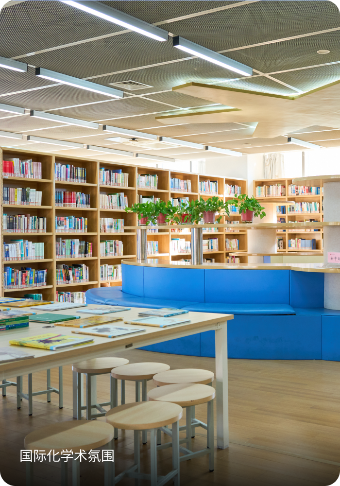 国际化学术范围